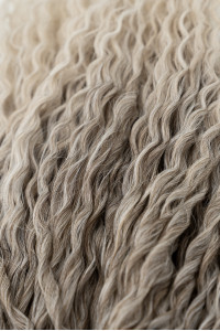 blondsivá   + 23,20€ 