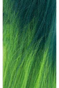 zelené ombré   + 5,40€ 