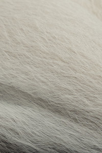 Strieborná  + 6,50€ 