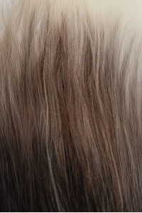tmavo hnedé ombré   + 5,40€ 